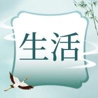 除夕佳节 | 这一年，想说一声：感谢有你！-俺阳来文化社区